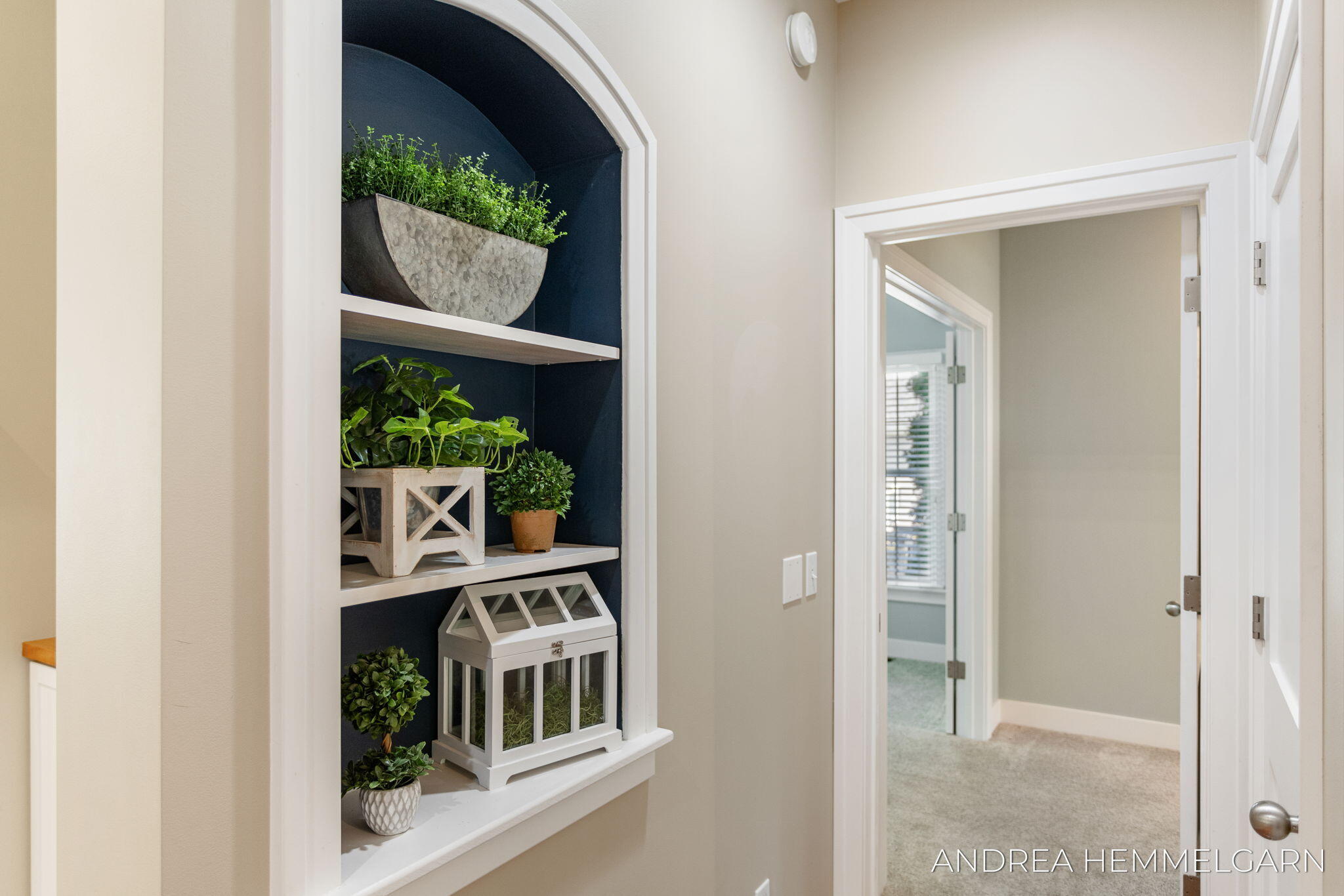 6429 Hidden Hollow Lane