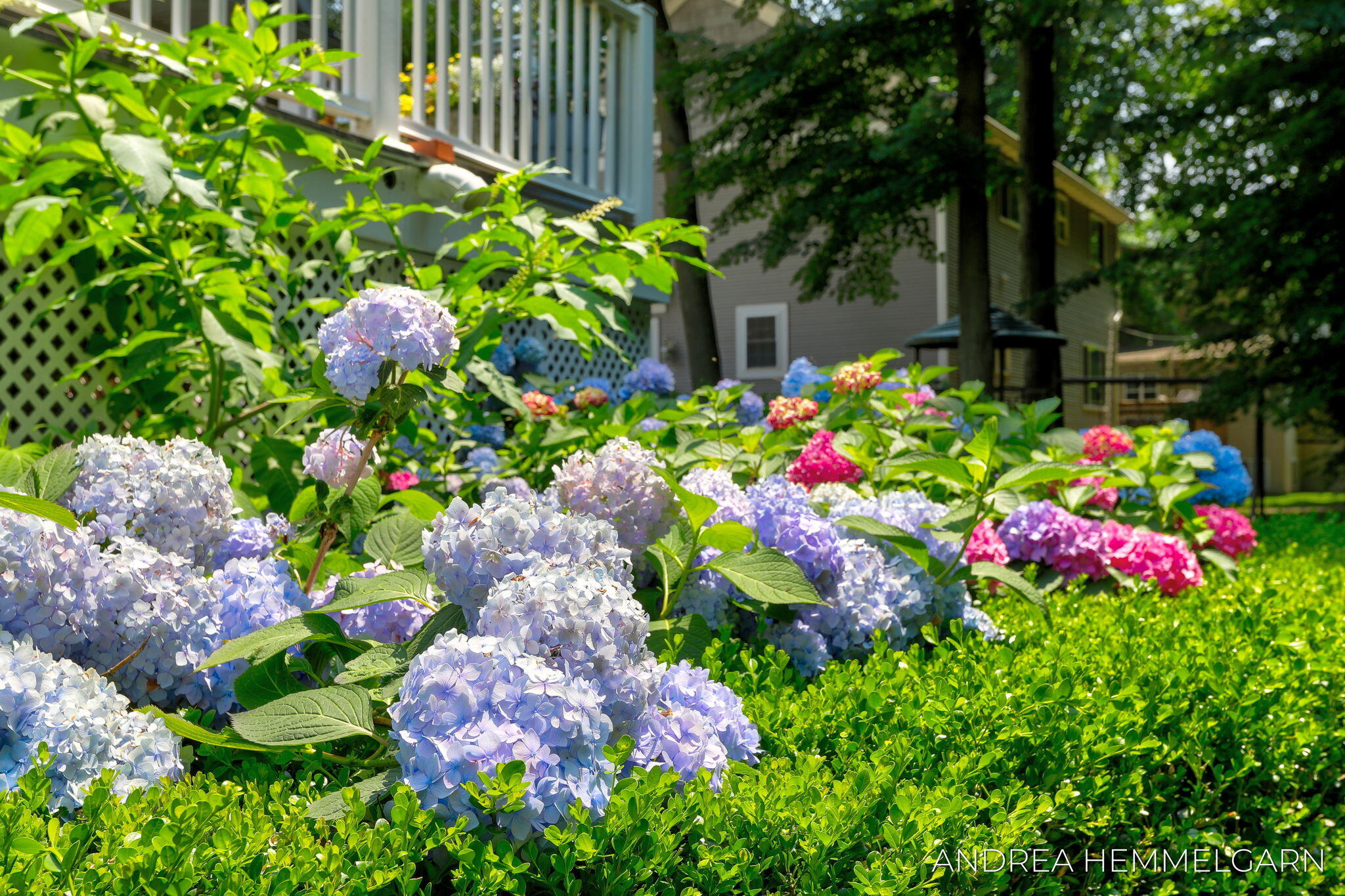 6429 Hidden Hollow Lane