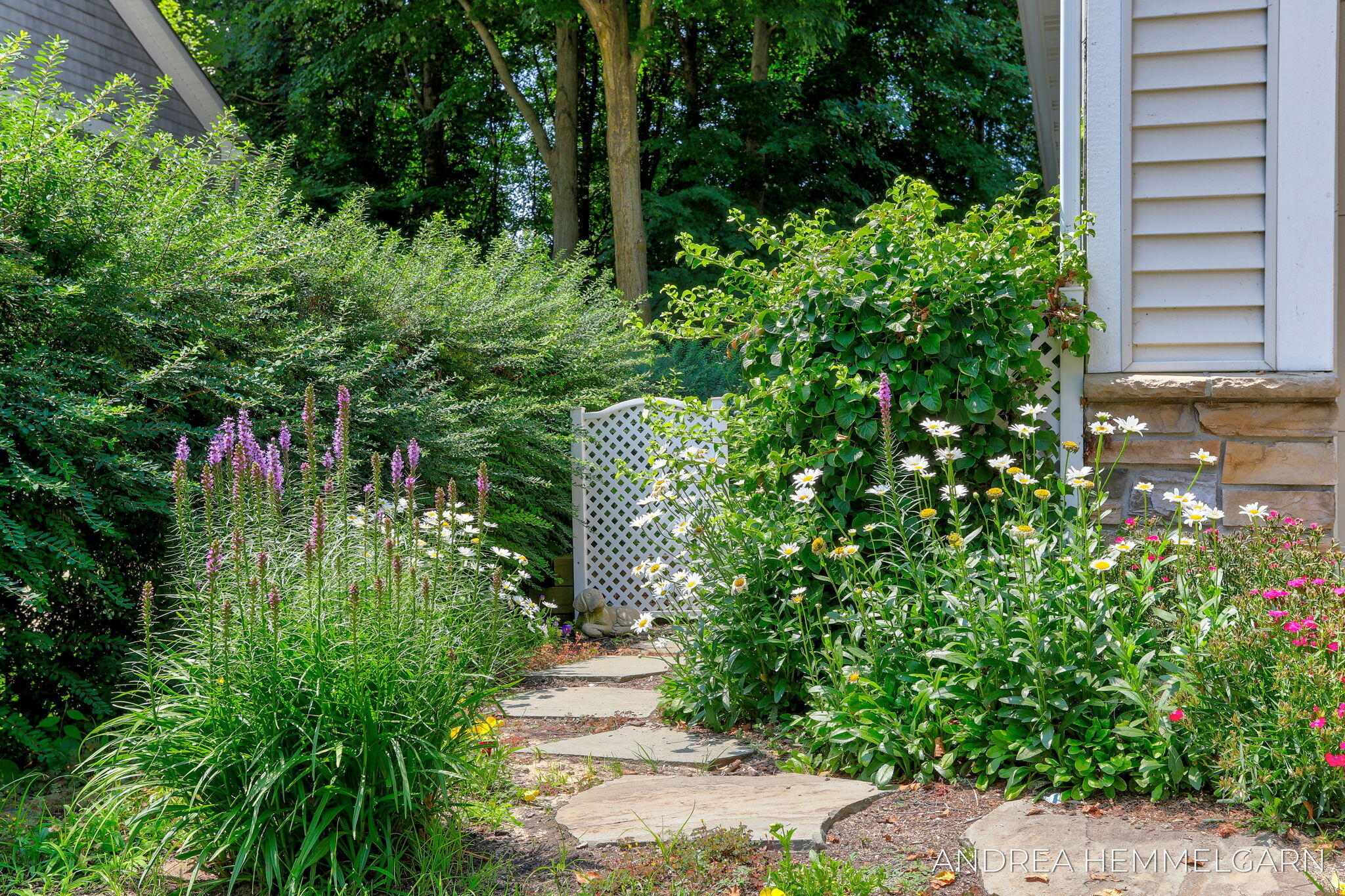 6429 Hidden Hollow Lane