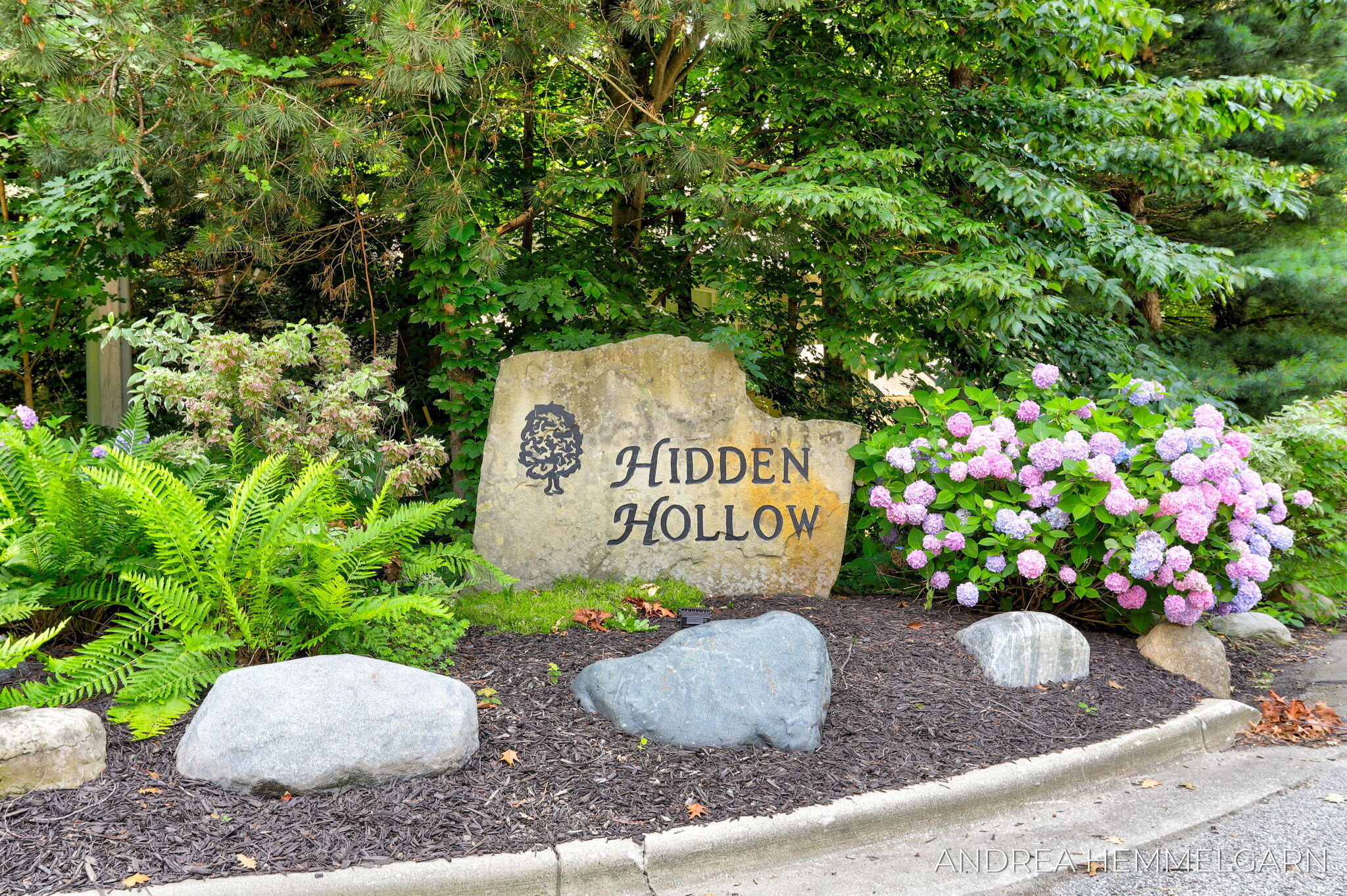 6429 Hidden Hollow Lane