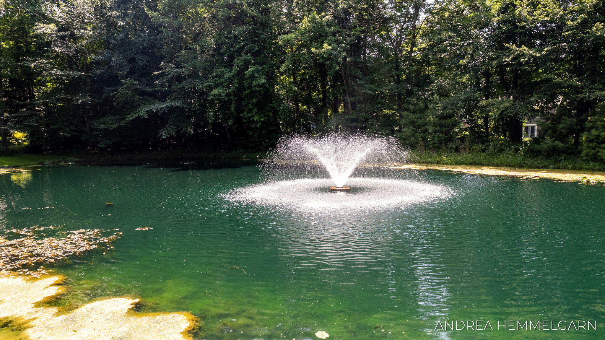 6429 Hidden Hollow Lane