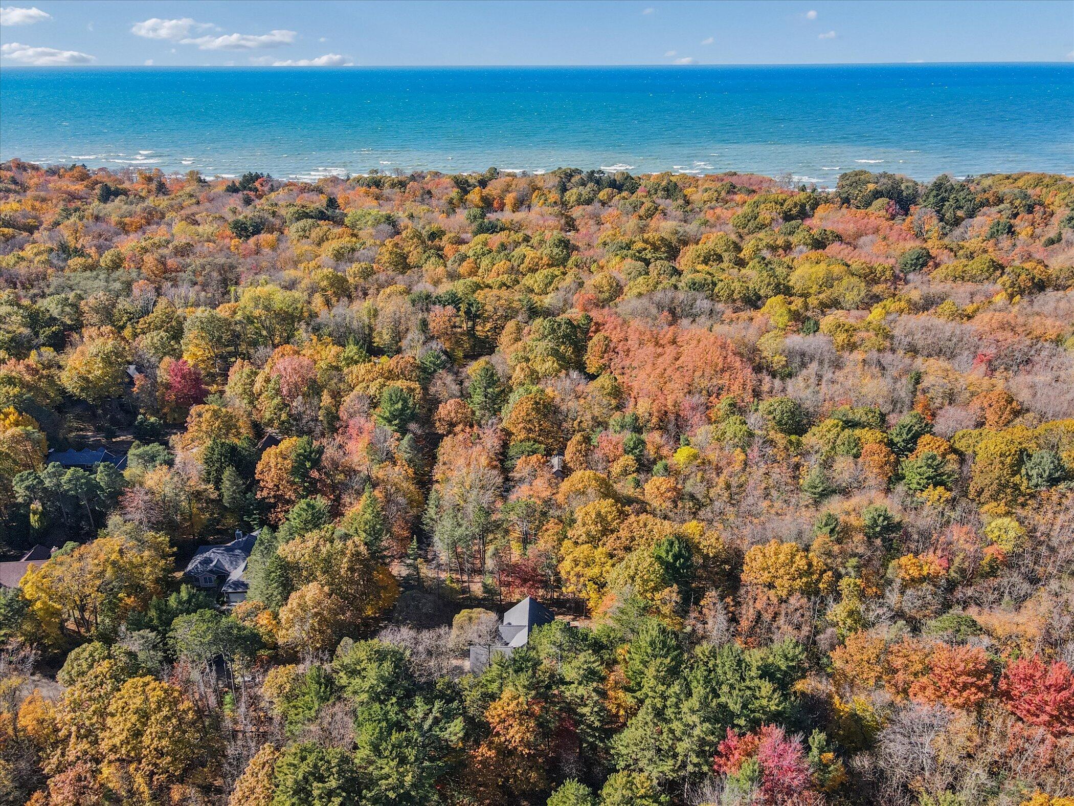 2335 Forest Trail Circle