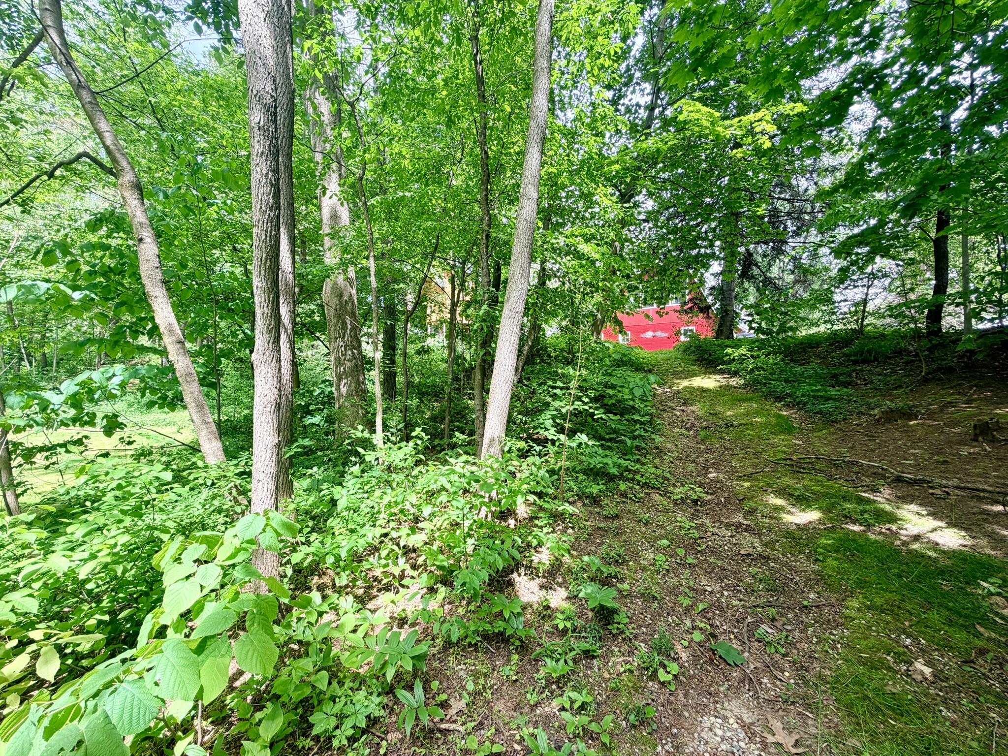 1346 W Marquette Woods Road, St. Joseph