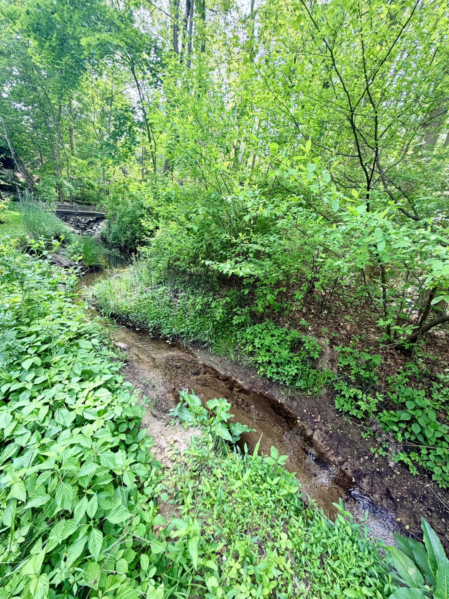 1346 W Marquette Woods Road, St. Joseph