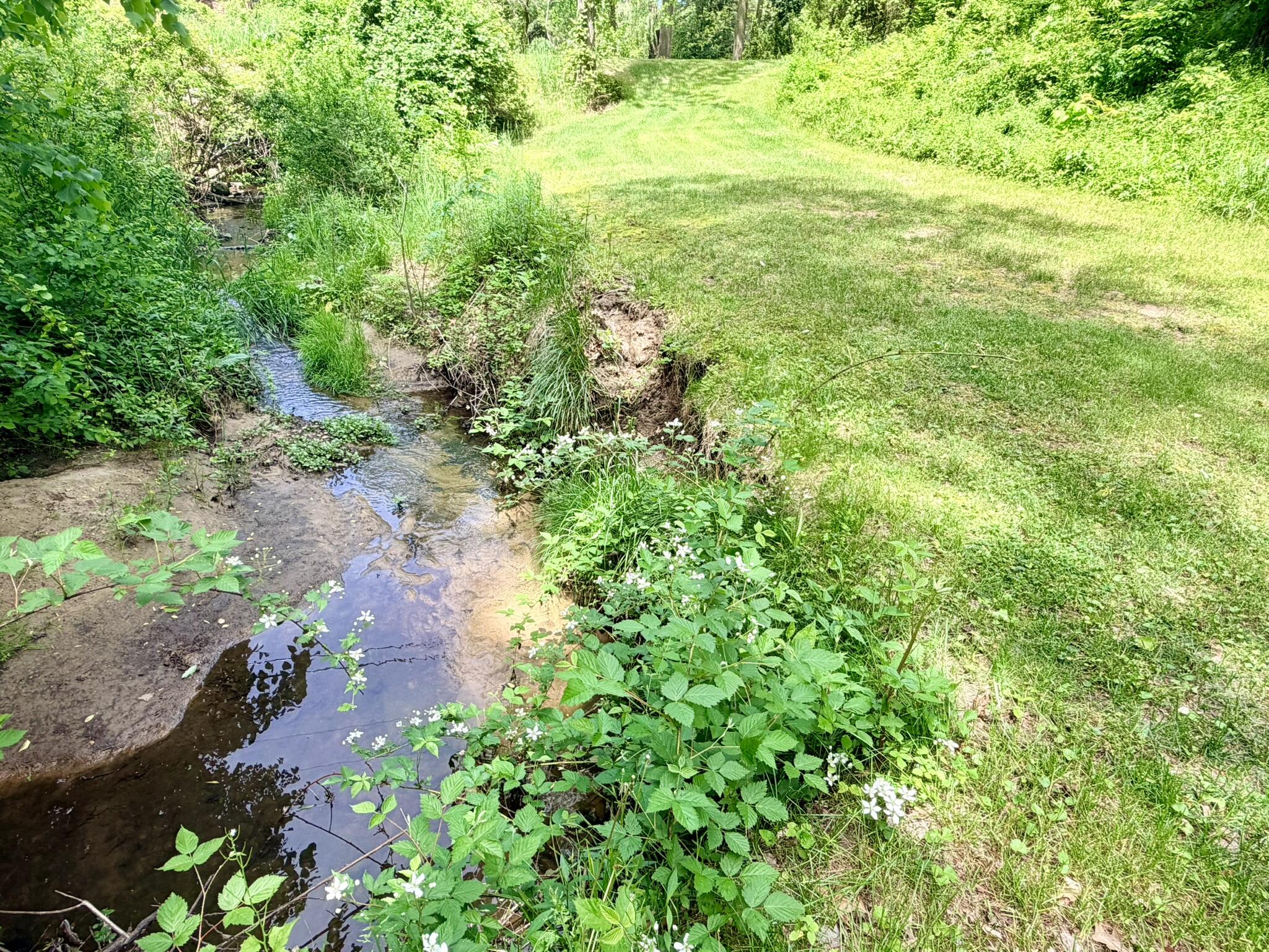 1346 W Marquette Woods Road, St. Joseph