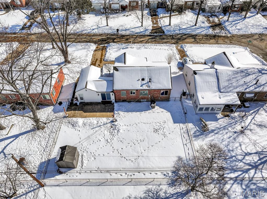 1335 Pinetree Lane