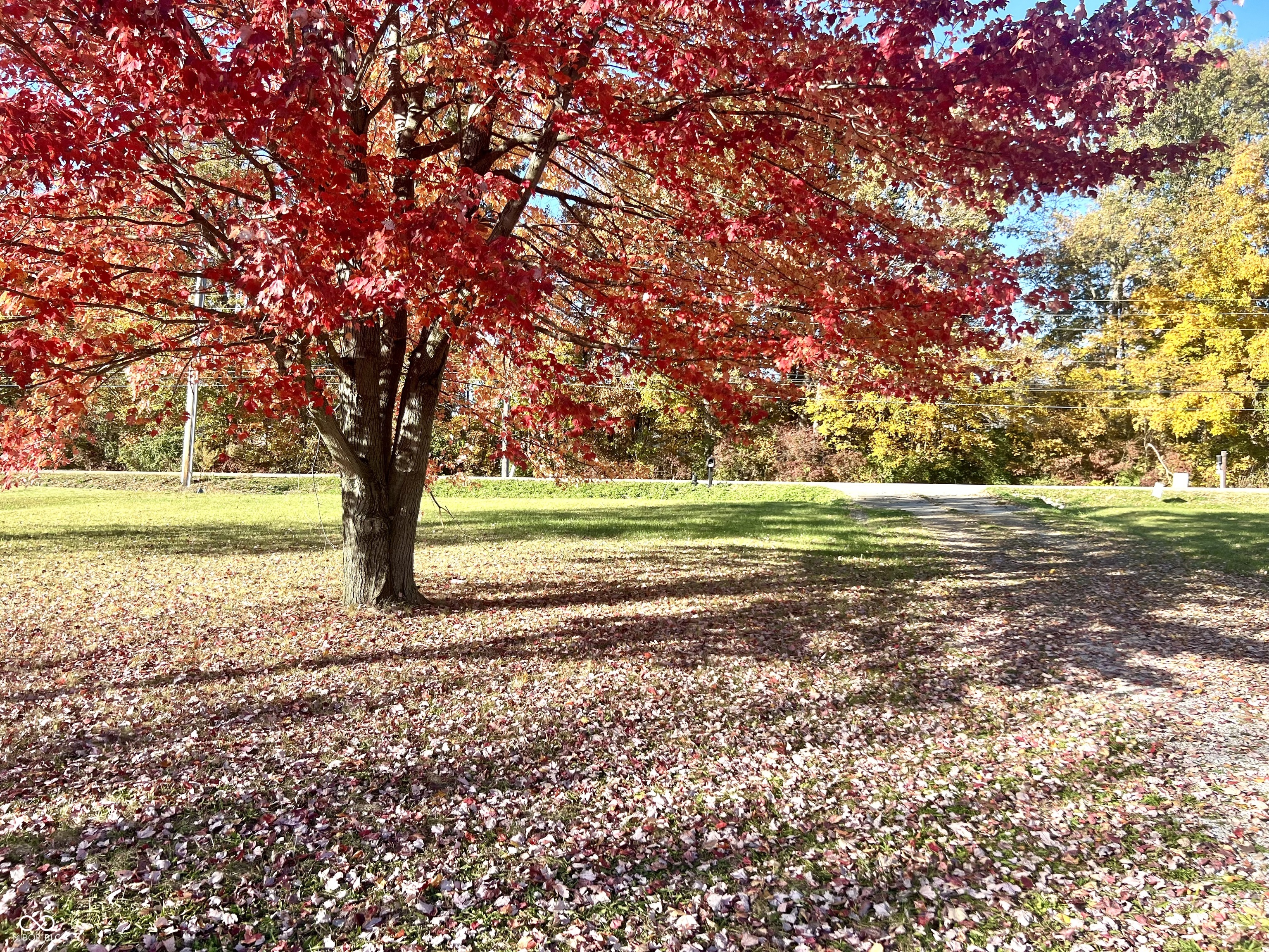 10341 E Thompson Road