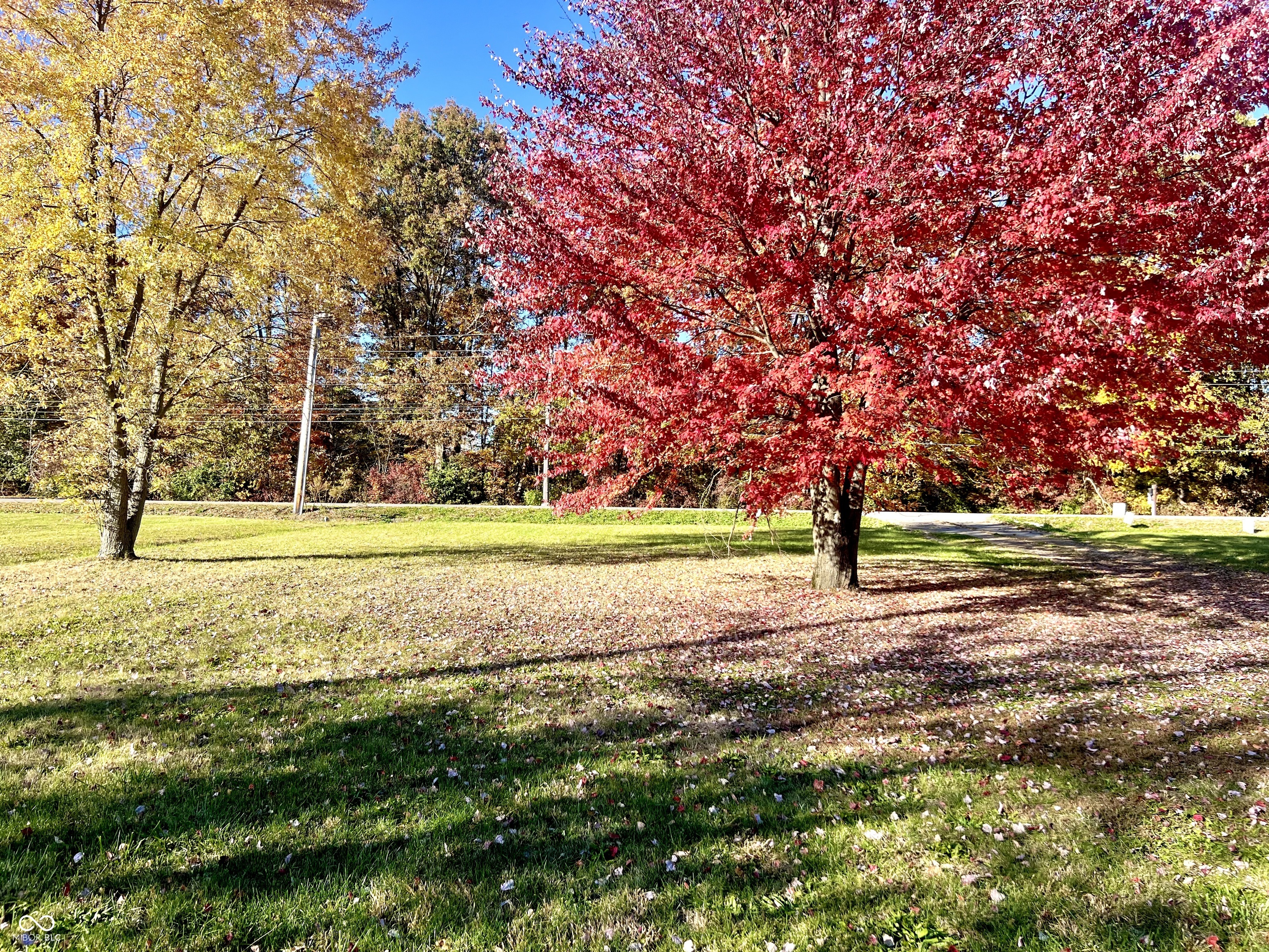 10341 E Thompson Road