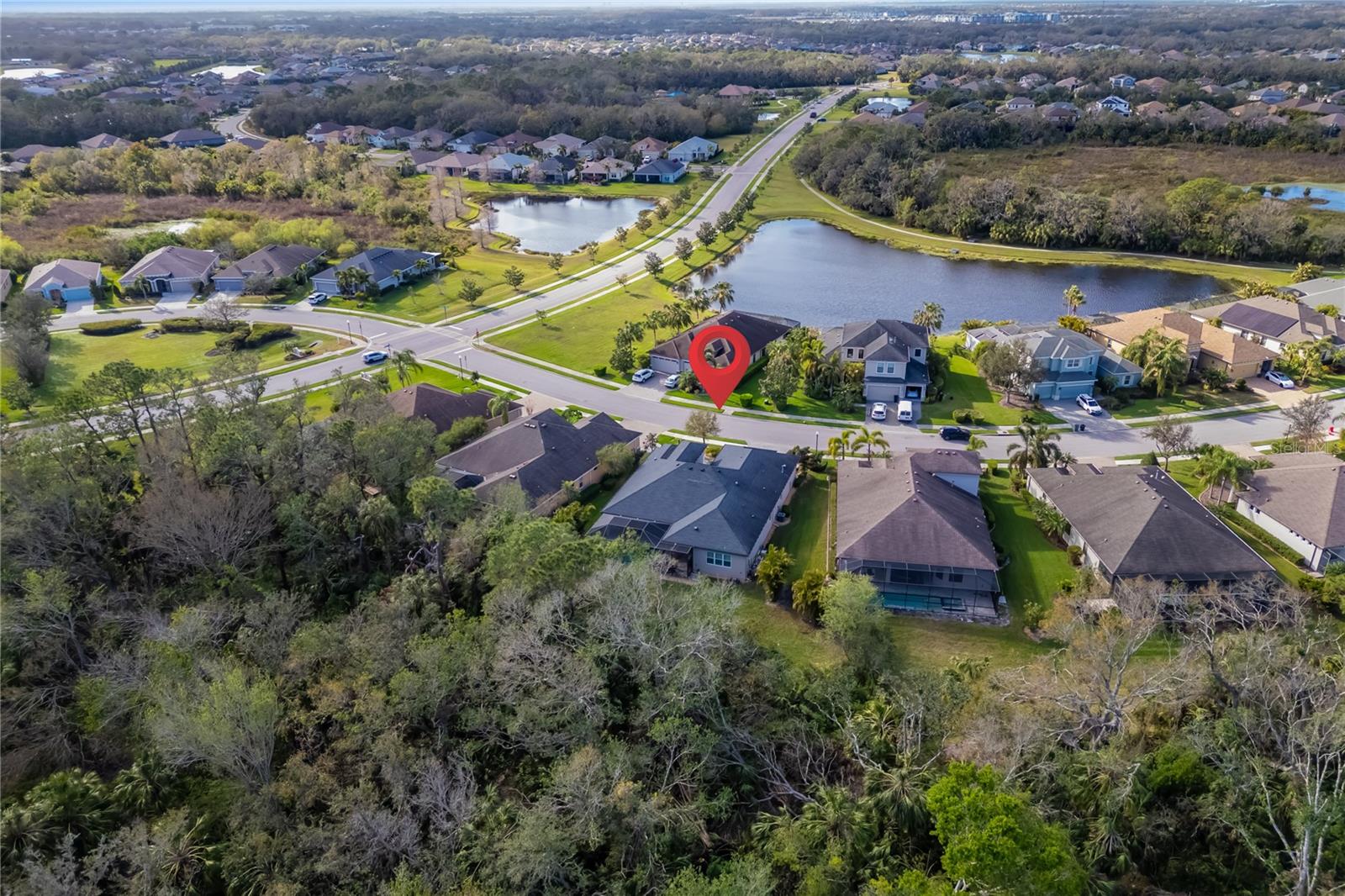 833 HONEYFLOWER LOOP