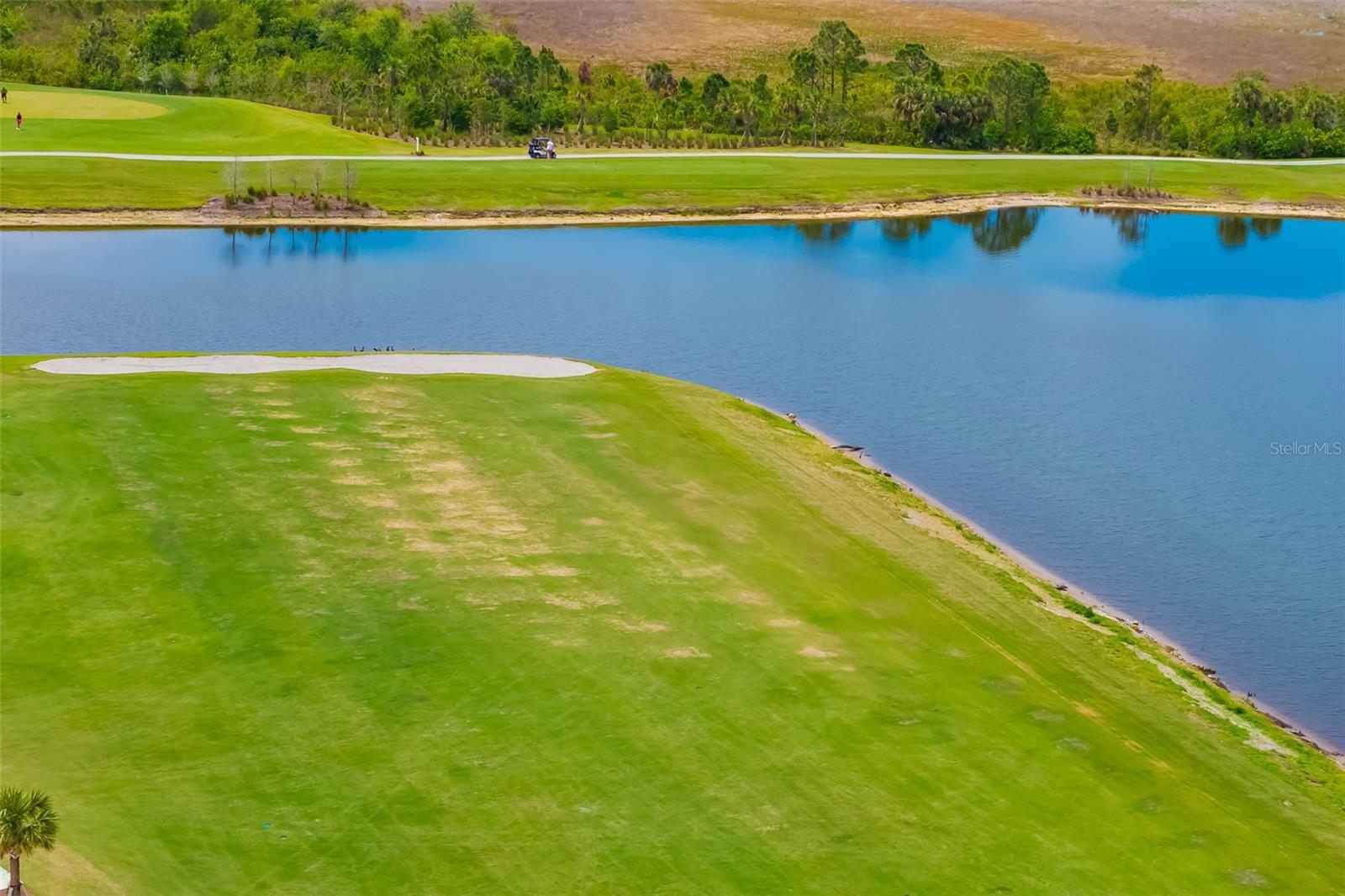12557 GALAPAGOS CT