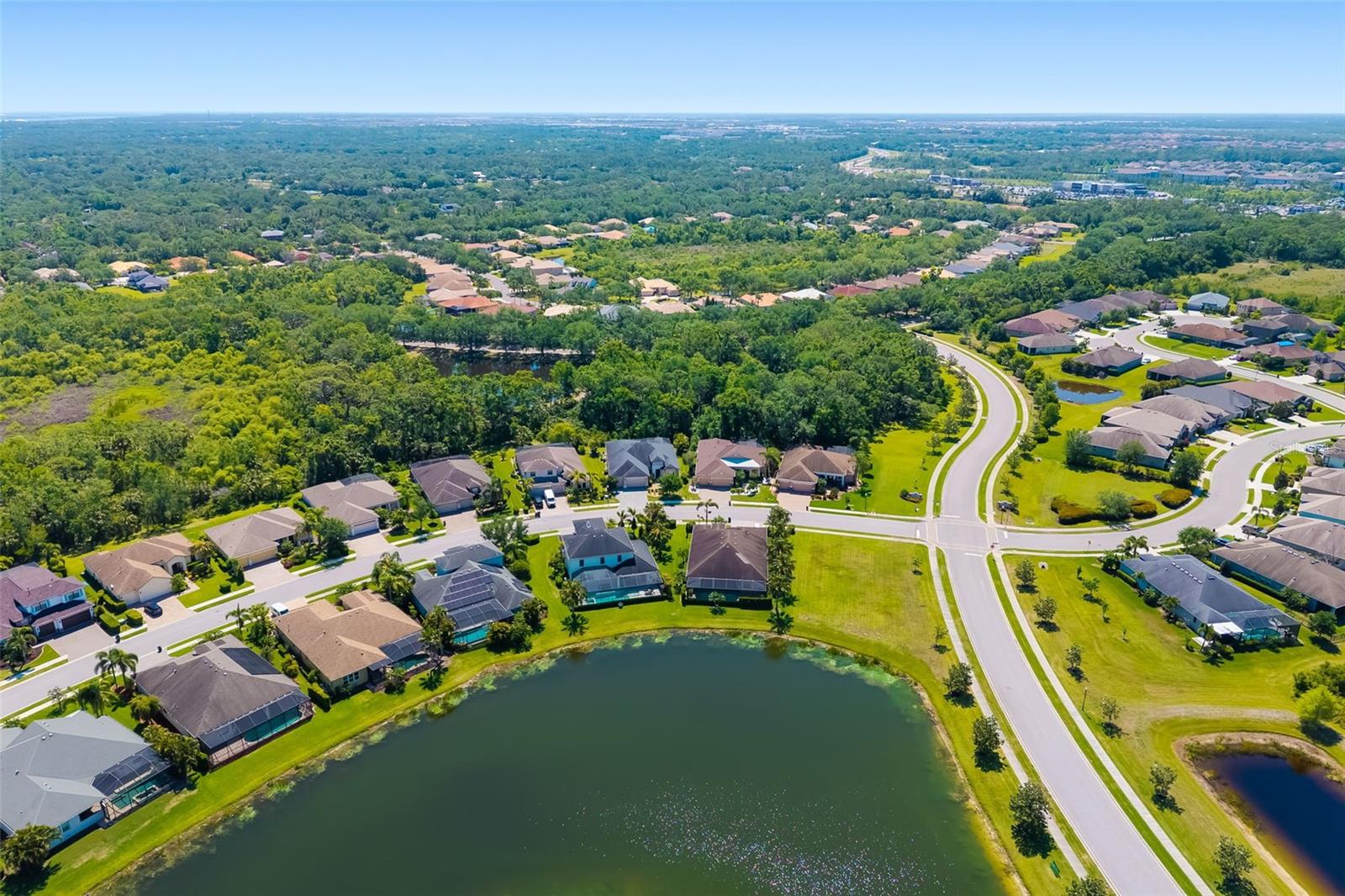 826 HONEYFLOWER LOOP