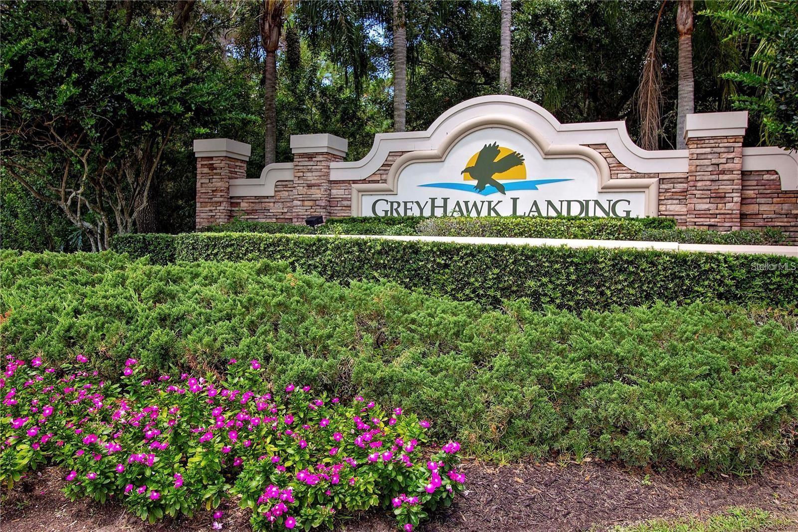 826 HONEYFLOWER LOOP