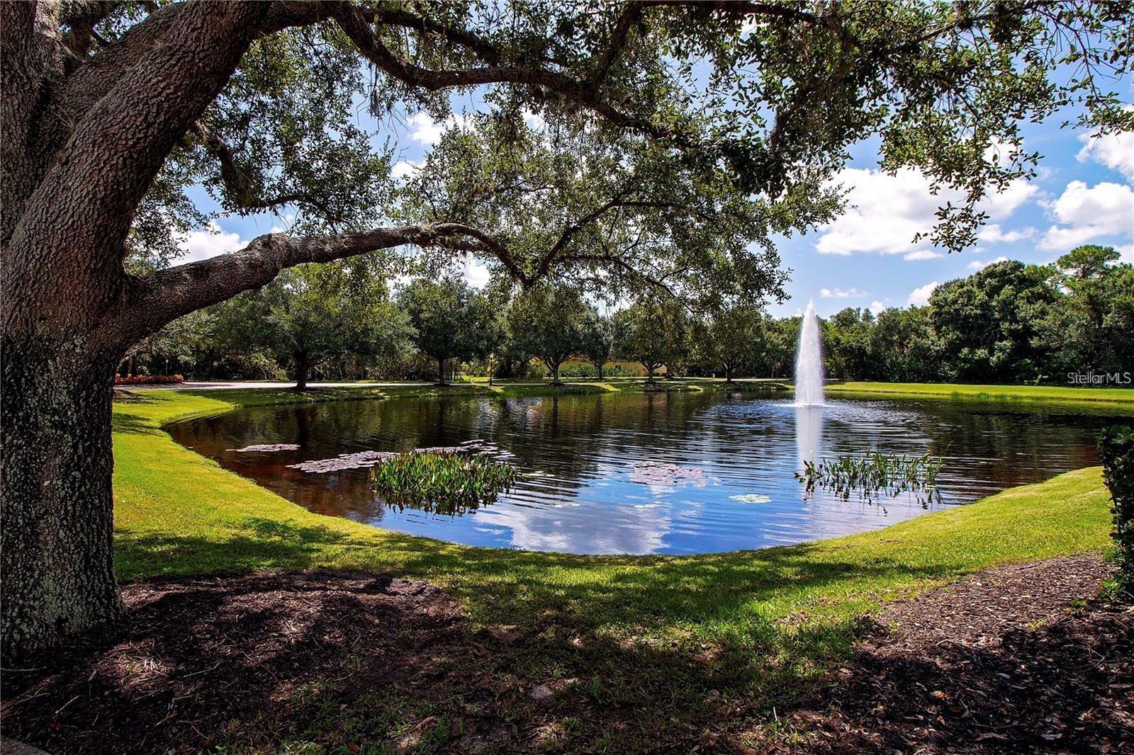 826 HONEYFLOWER LOOP