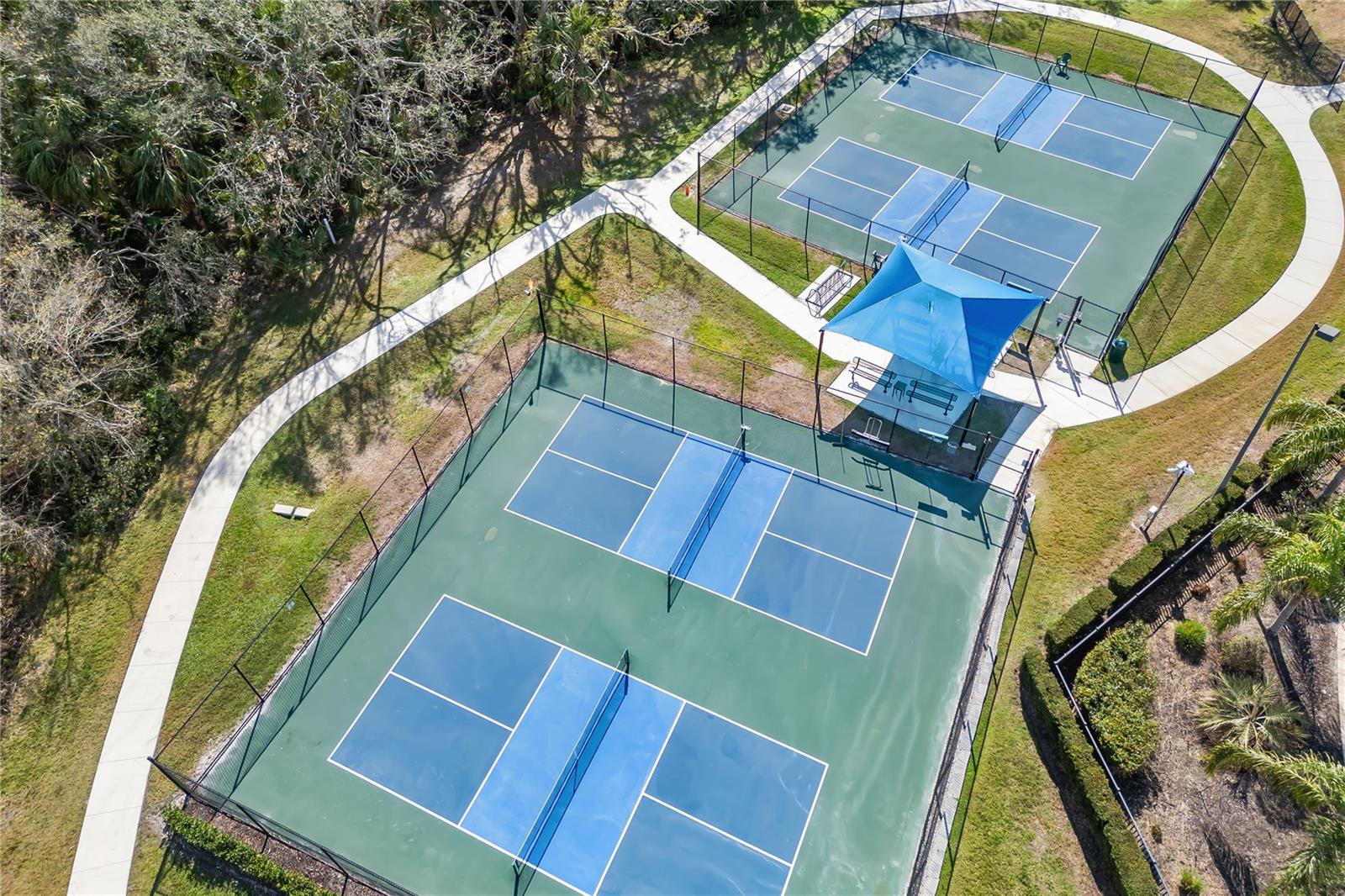 826 HONEYFLOWER LOOP