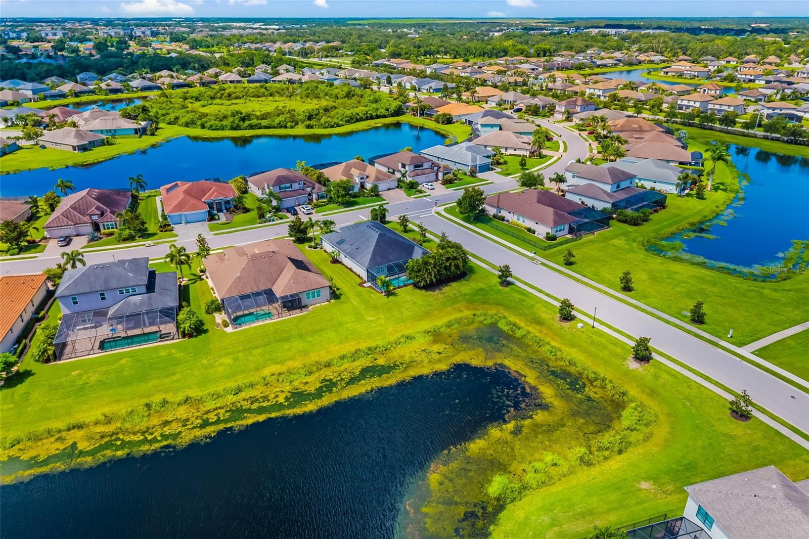 650 ROSEMARY CIR