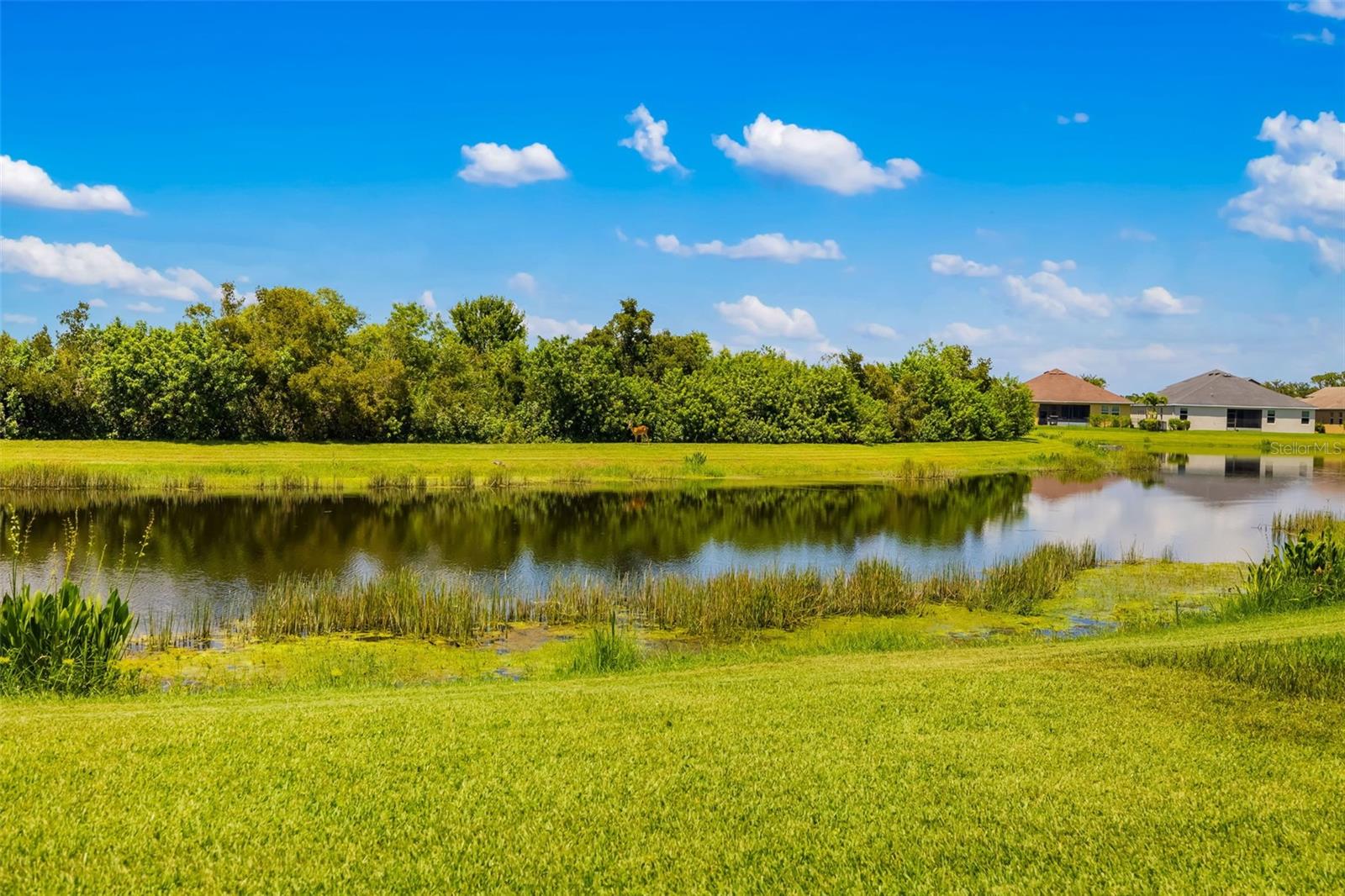 773 ROSEMARY CIR