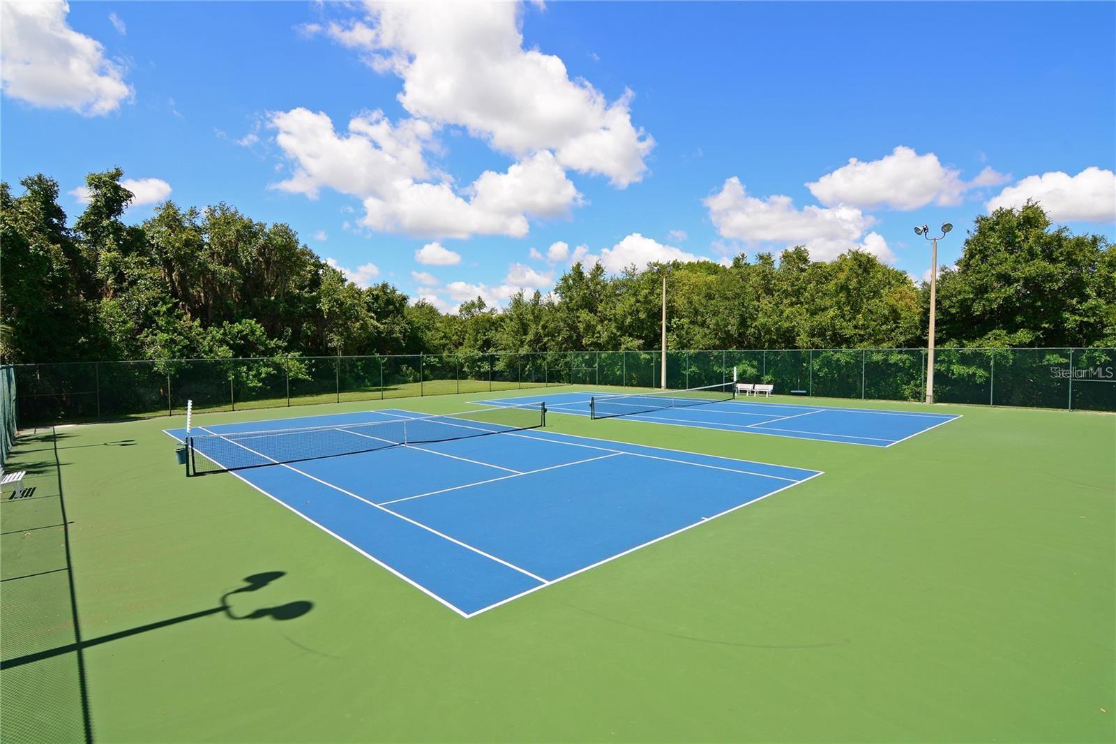 12543 NATUREVIEW CIR