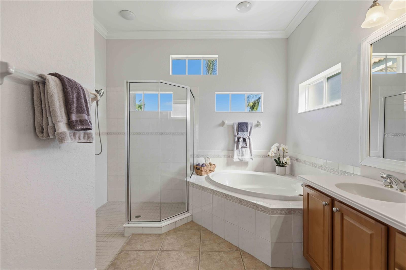 12563 NATUREVIEW CIR