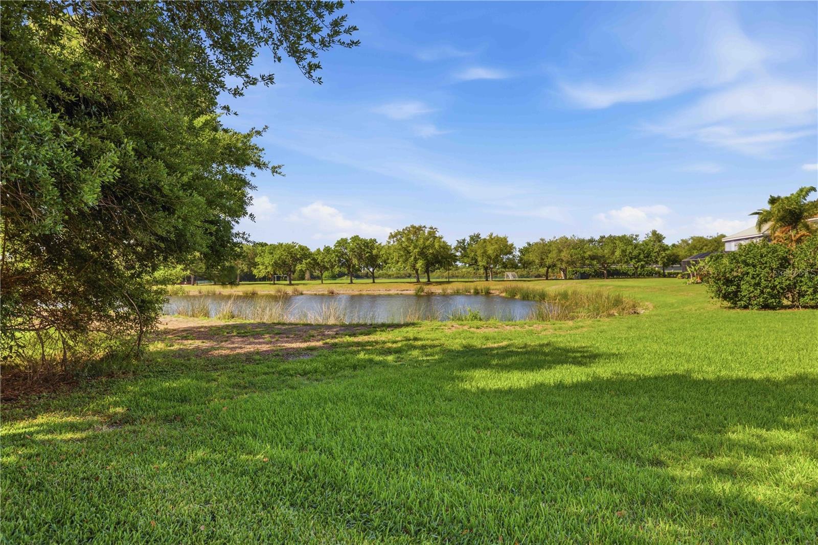 12563 NATUREVIEW CIR