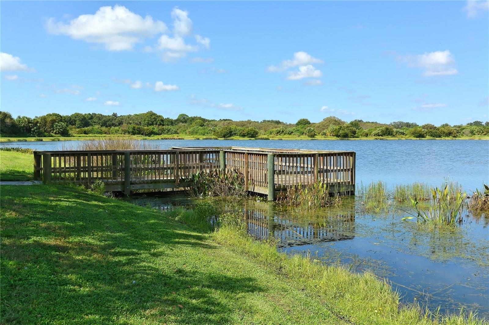 12563 NATUREVIEW CIR