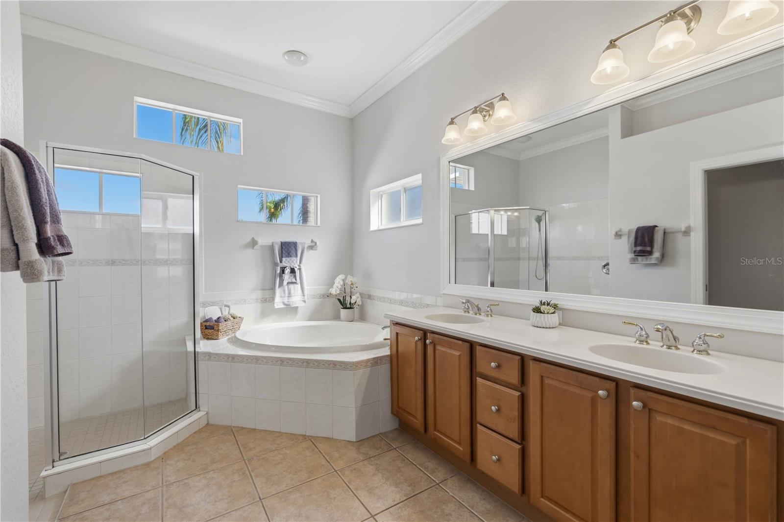 12563 NATUREVIEW CIR