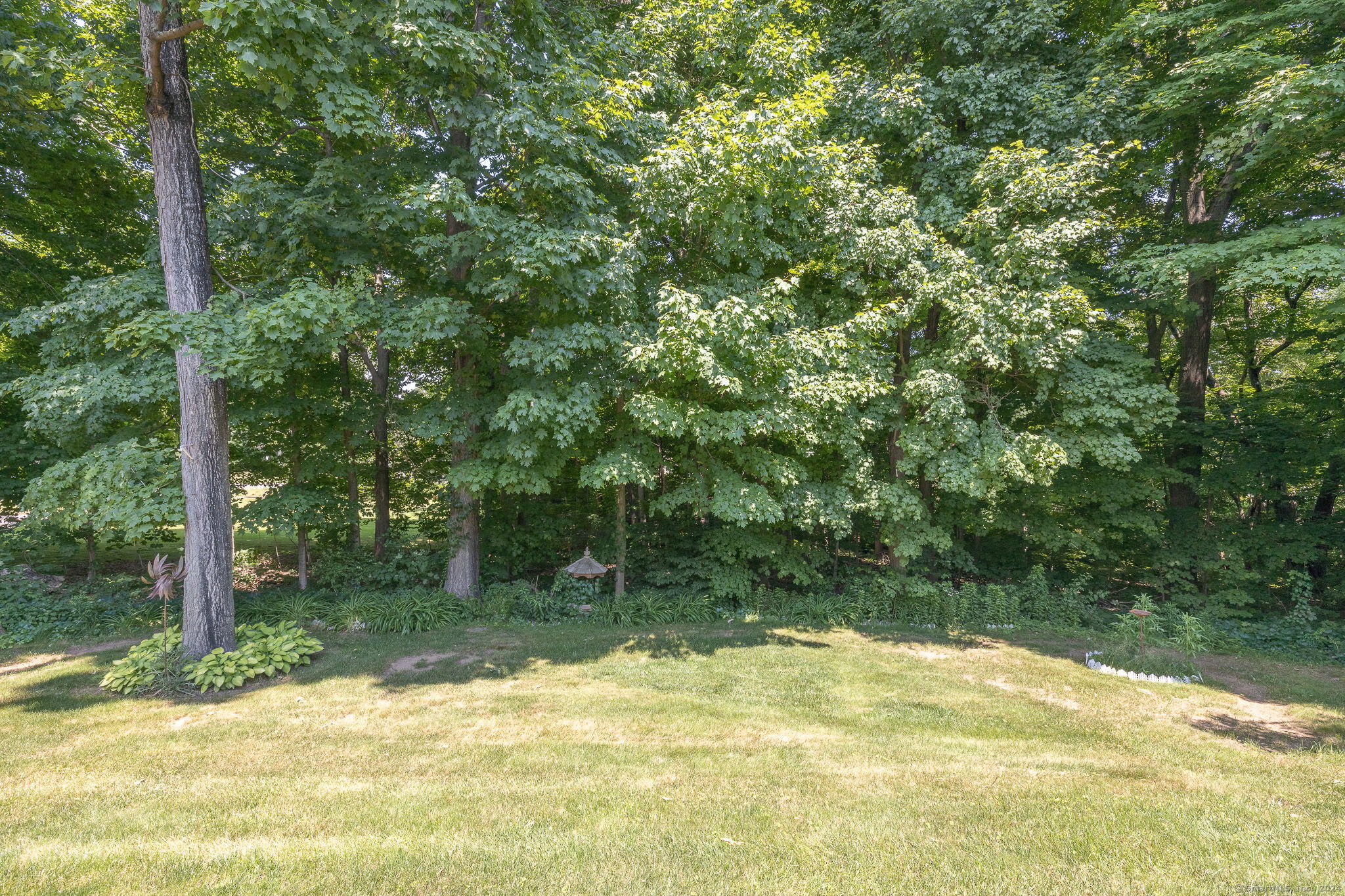 20 Whitney Ferguson Road 17