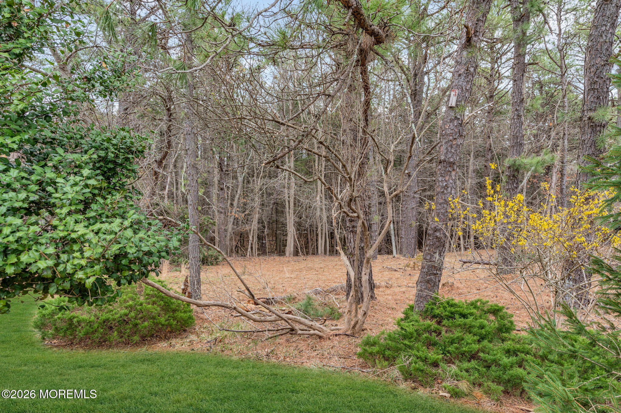 10 Point Blanche Court