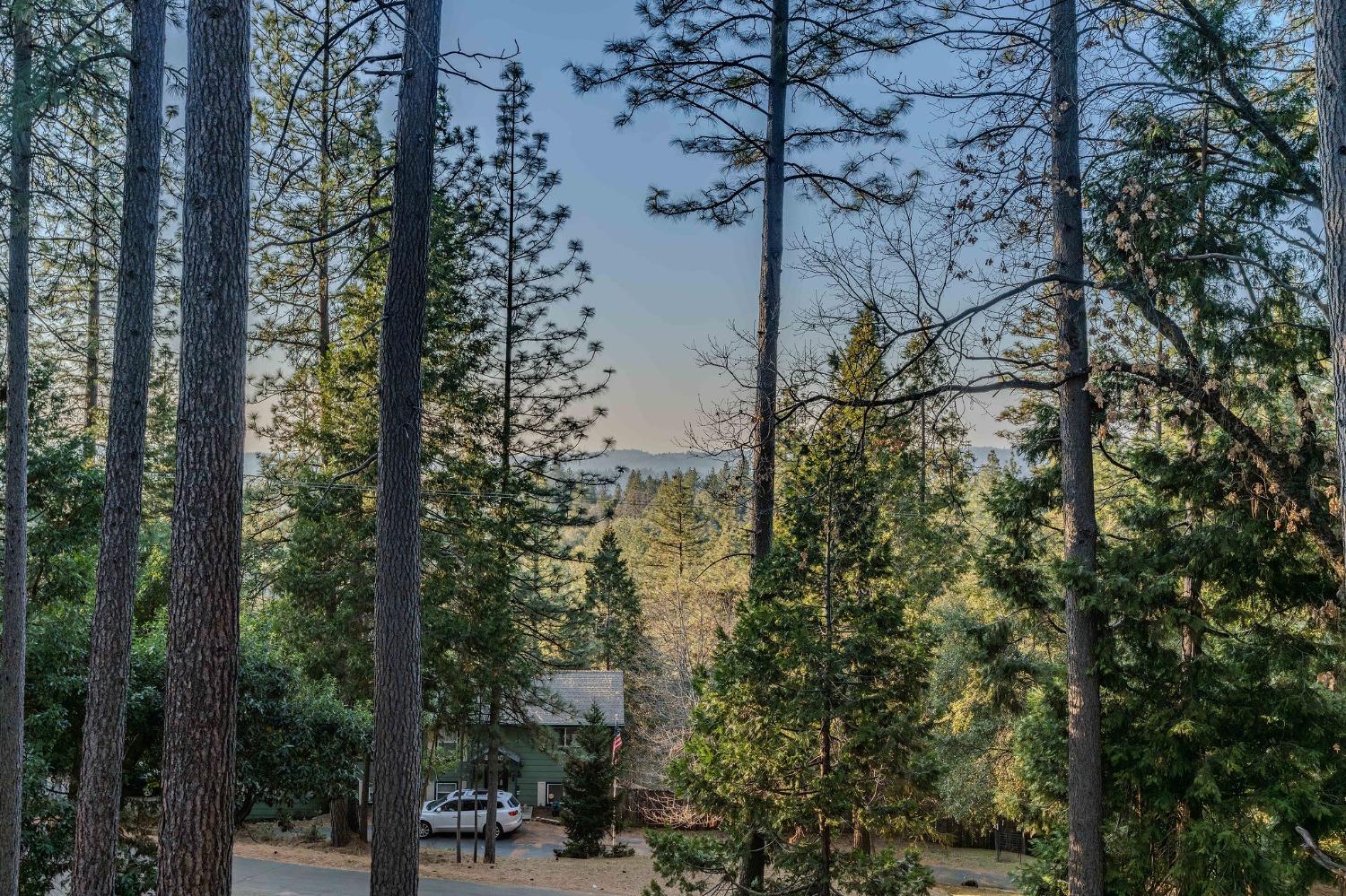 23201 Hidden Lane