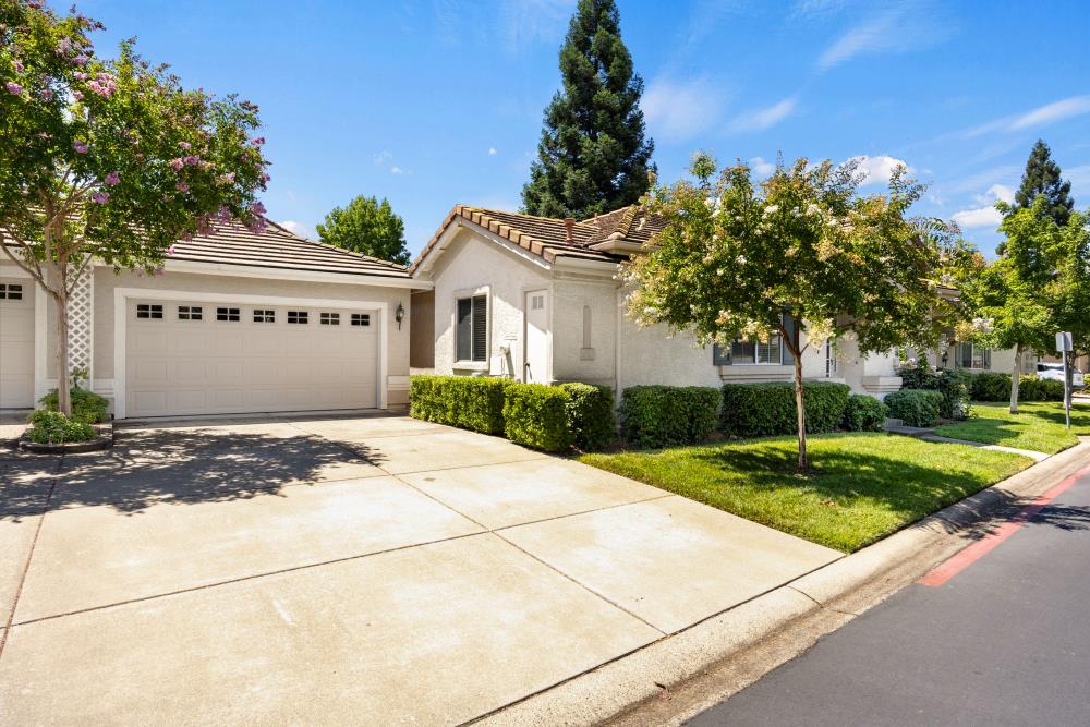 1187 Reston Drive
