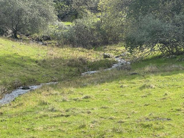 0 Walsh Lane