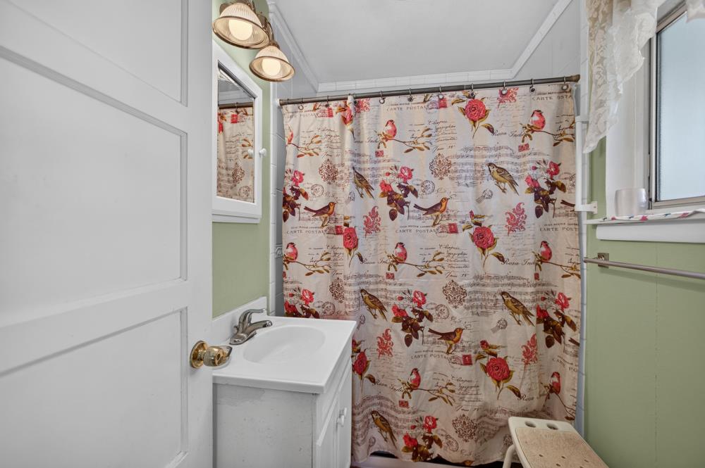 Bathroom with a white vanity and bird-and-rose patterned shower curtain.