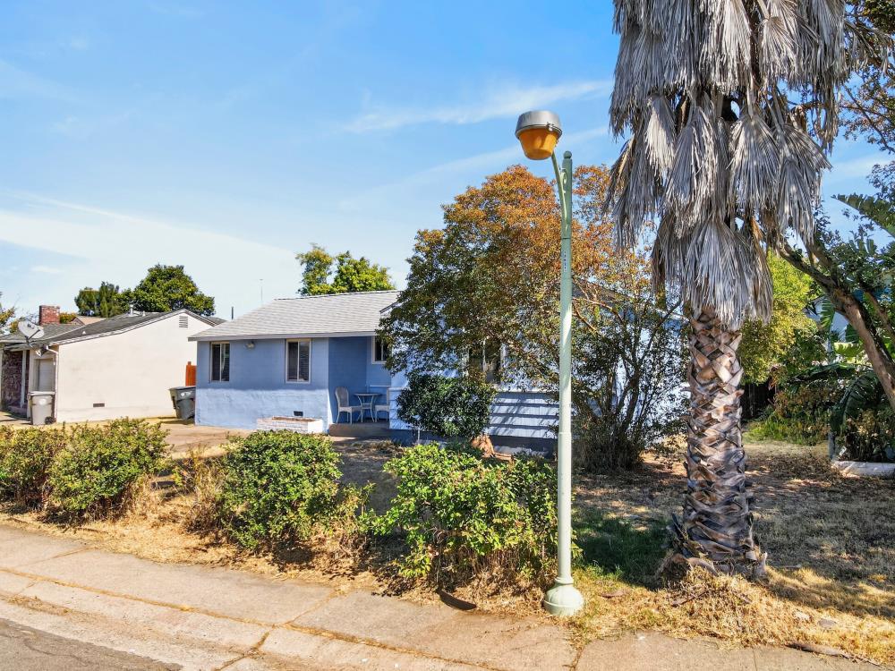 Blue single-story house behind shrubs, with a tall palm tree beside the sidewalk.