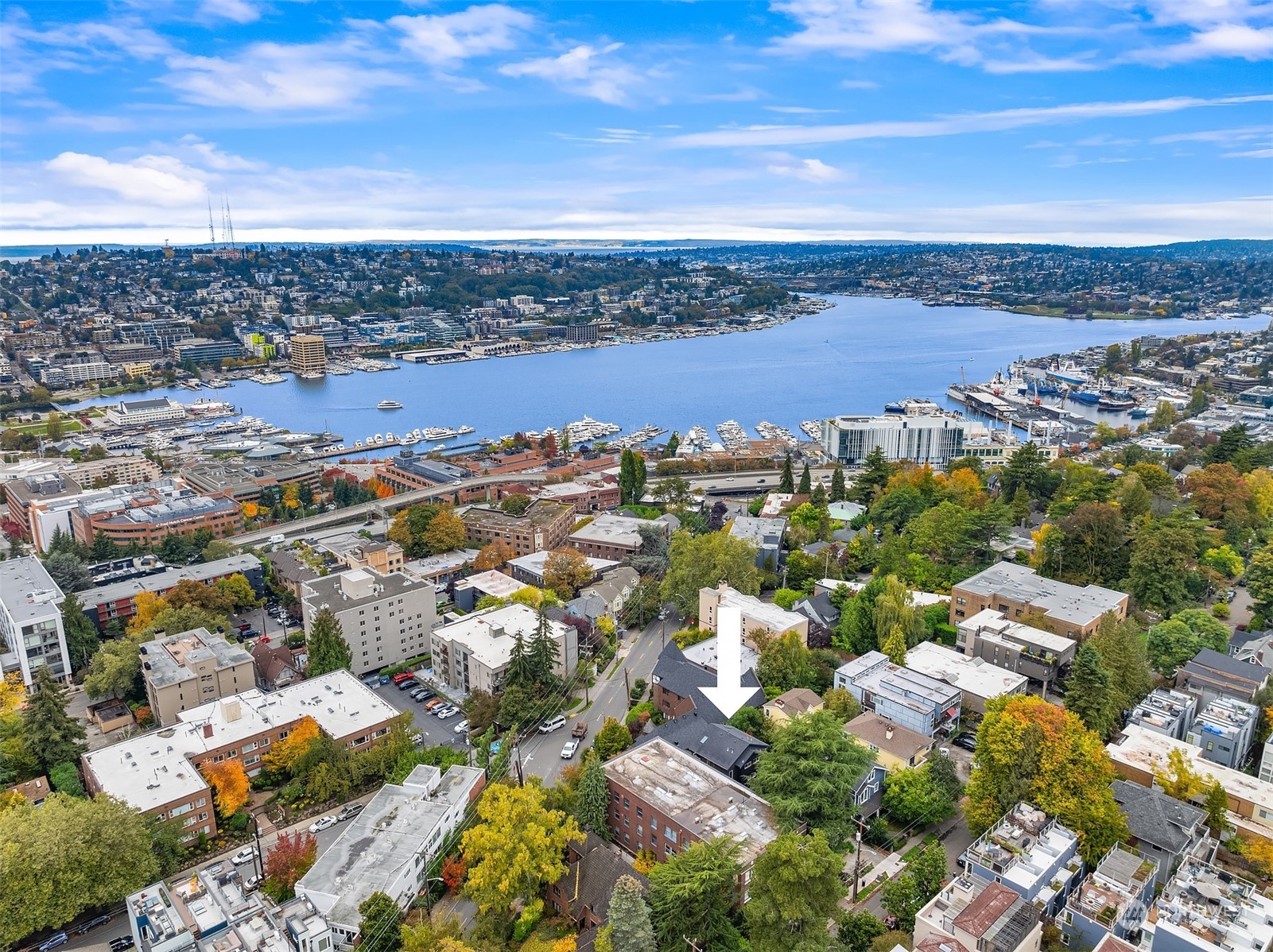 717 Belmont Place E Unit: A