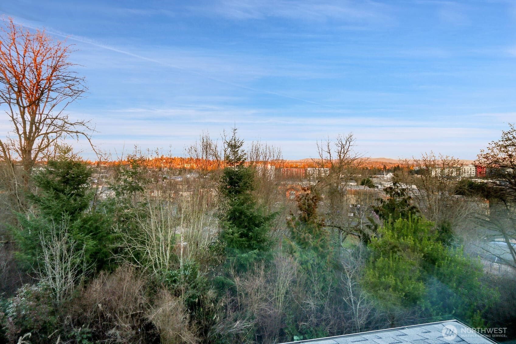 7004 Holly Park Drive S