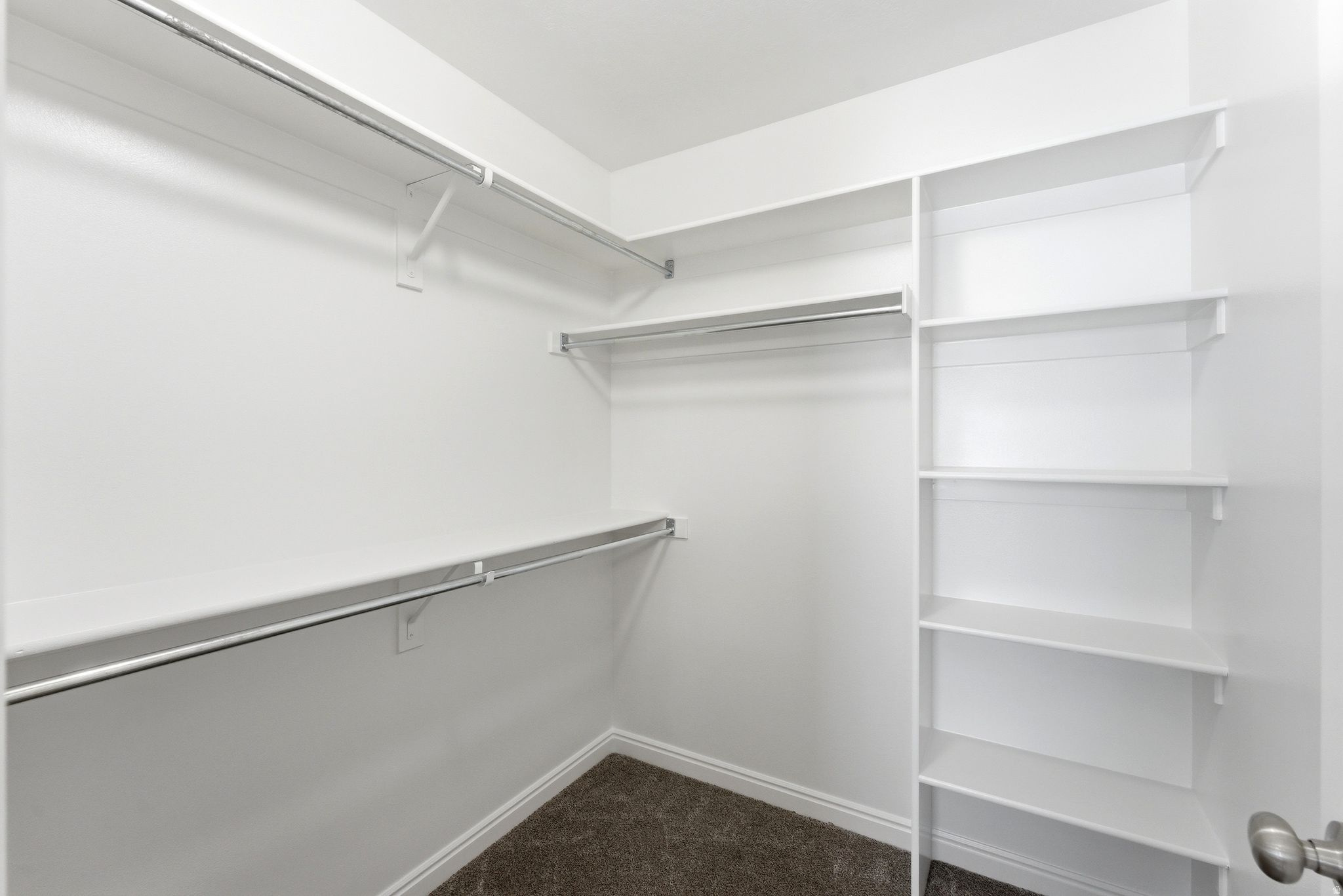 7721 N BRISTLECONE RD