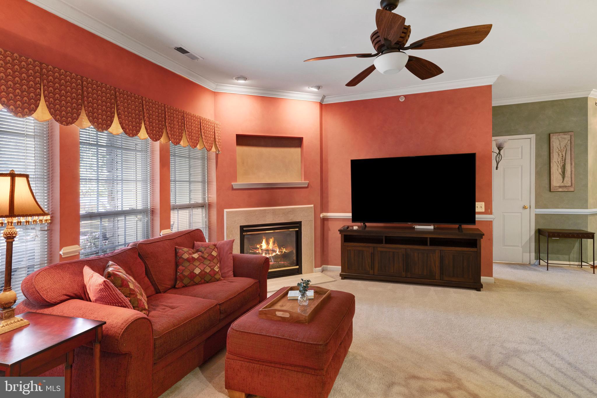 100 FIDDLELEAF LANE 104