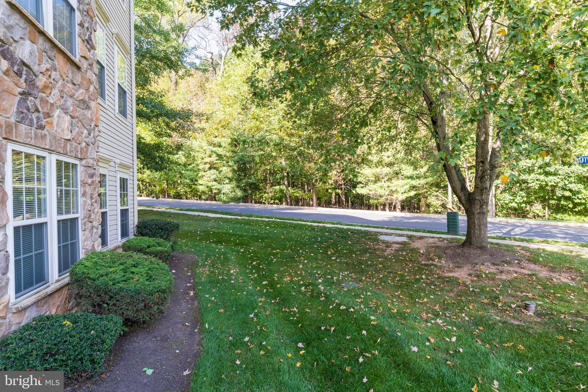100 FIDDLELEAF LANE 104