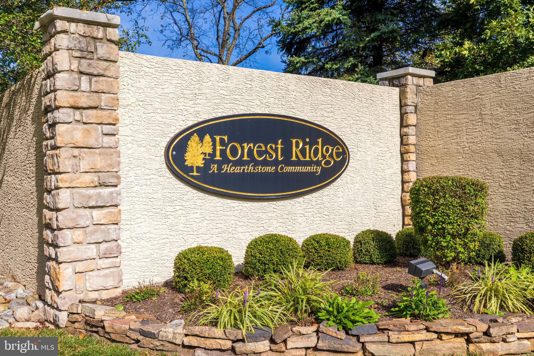100 FIDDLELEAF LANE 104