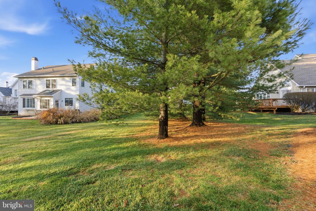 105 BIRKDALE DRIVE