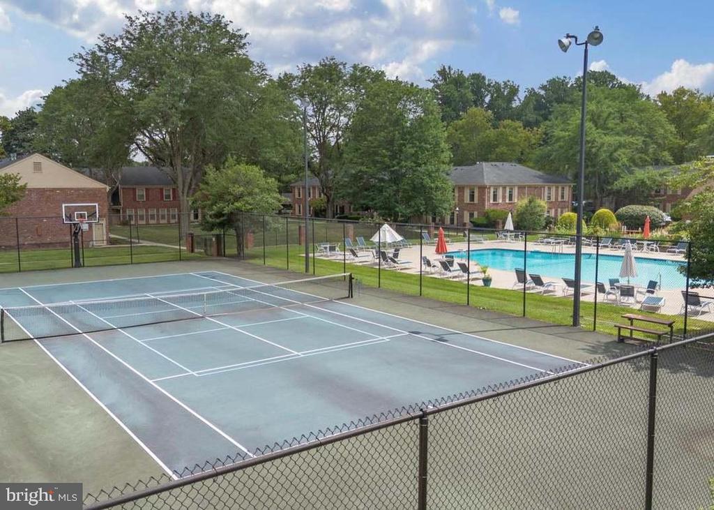172 ALBEMARLE DRIVE