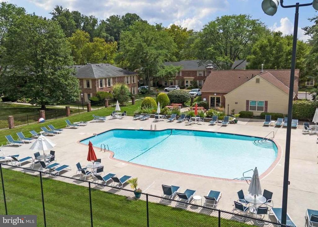 172 ALBEMARLE DRIVE