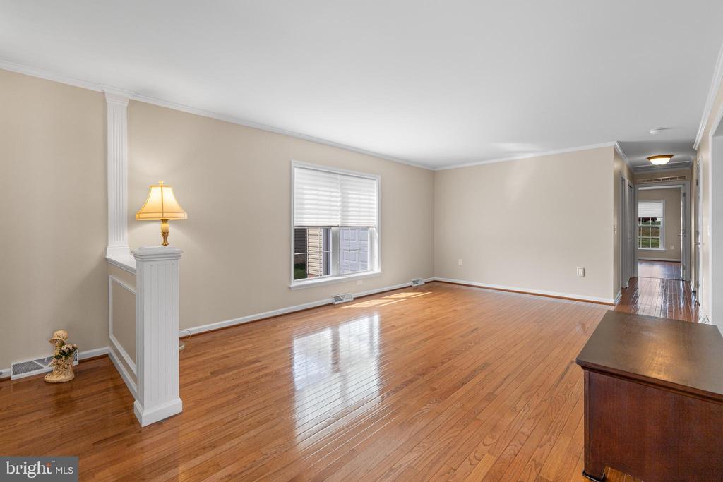411 DANDELION DRIVE