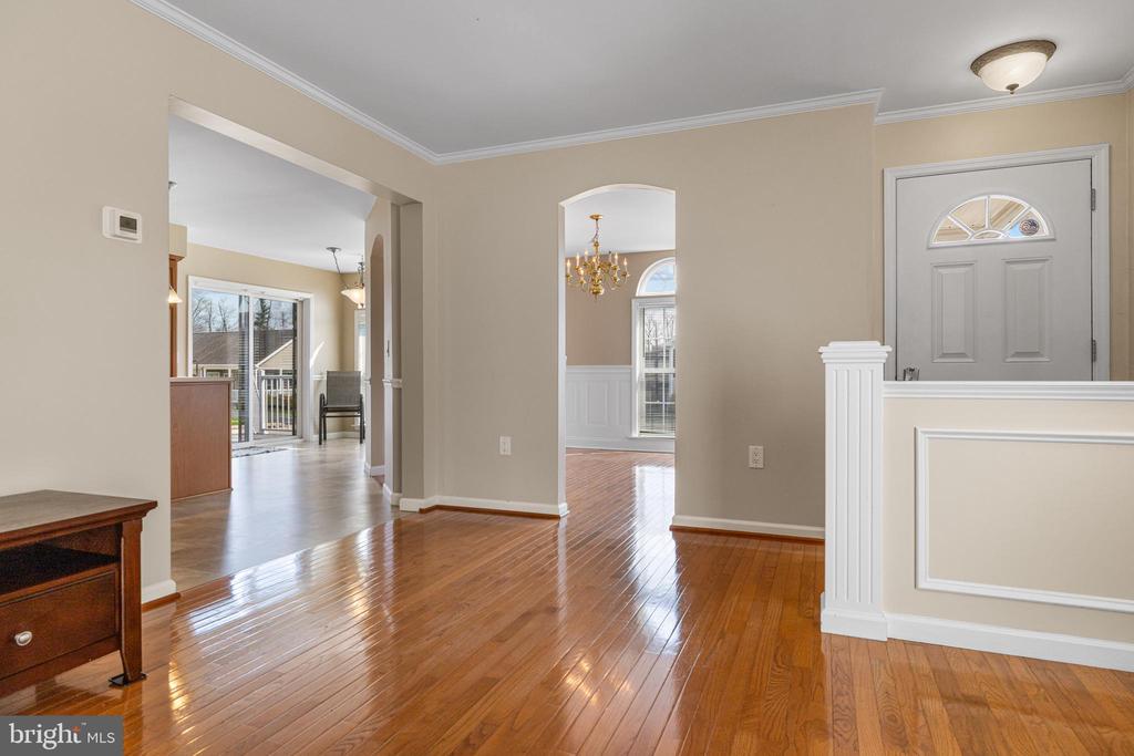 411 DANDELION DRIVE