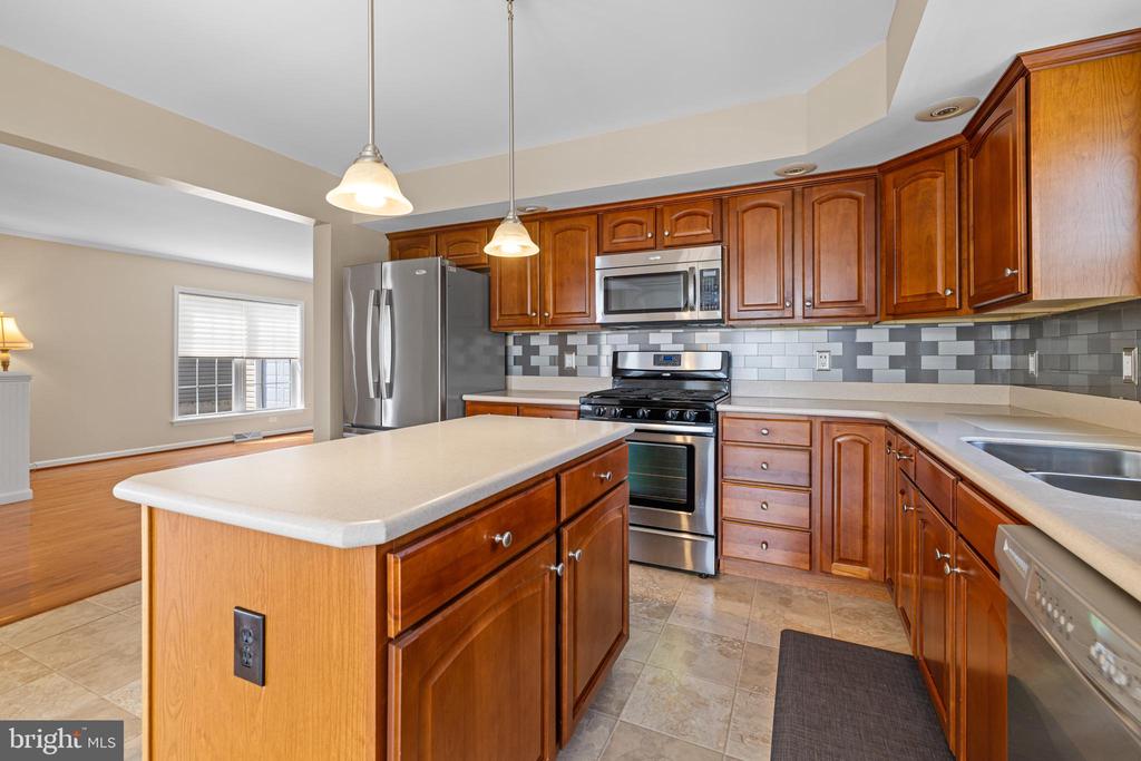 411 DANDELION DRIVE