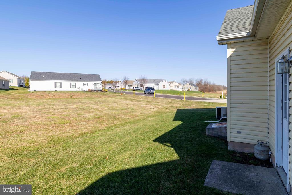 411 DANDELION DRIVE