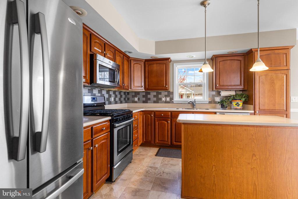 411 DANDELION DRIVE