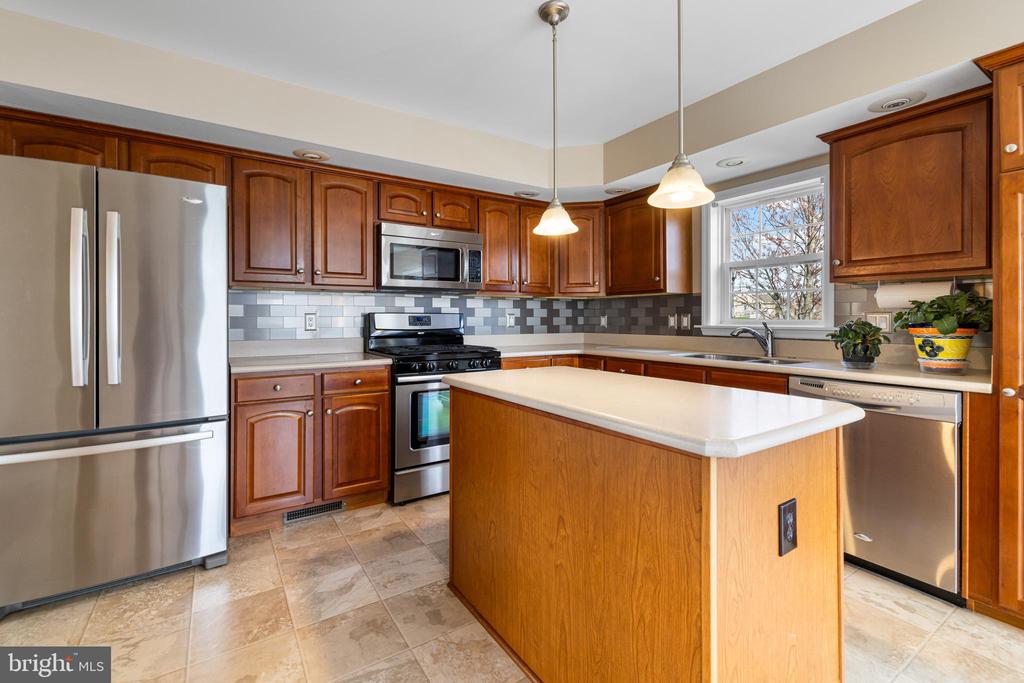 411 DANDELION DRIVE