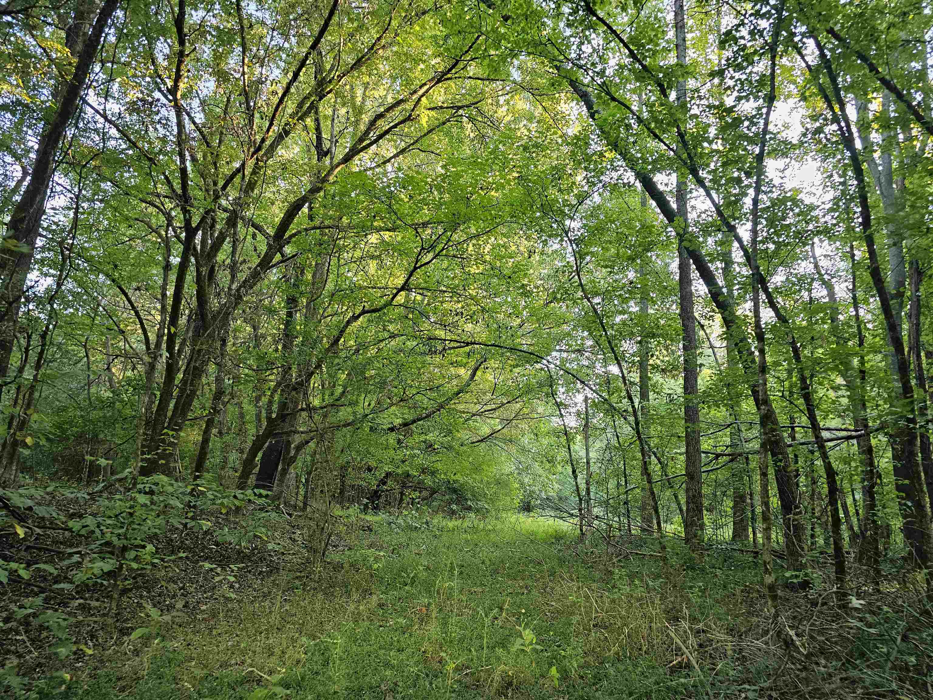 3004 RUSSELL BOND (LAND ONLY) RD