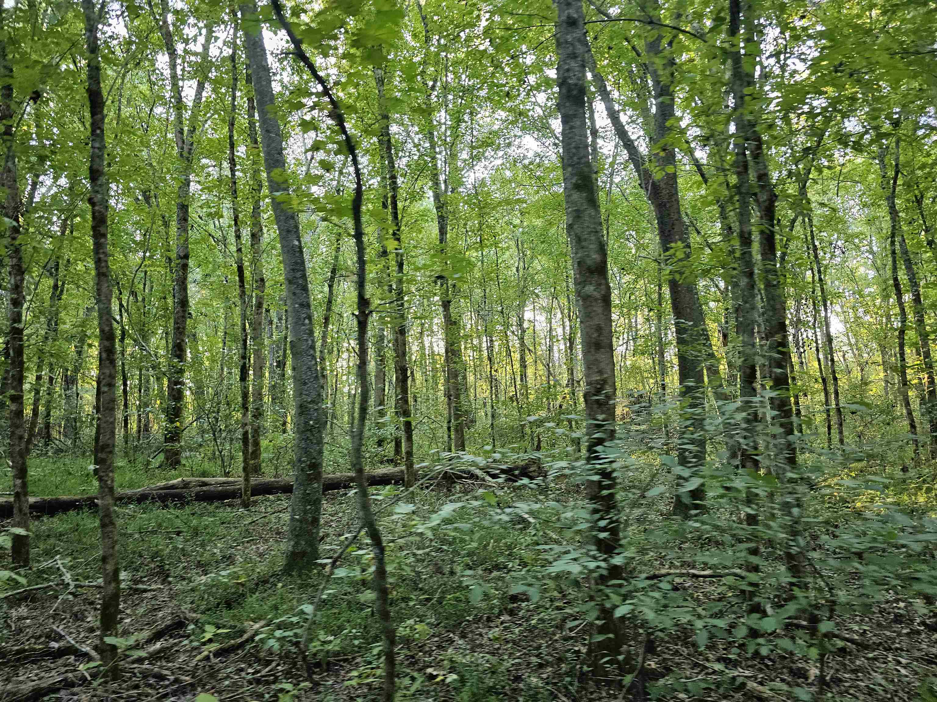 3004 RUSSELL BOND (LAND ONLY) RD