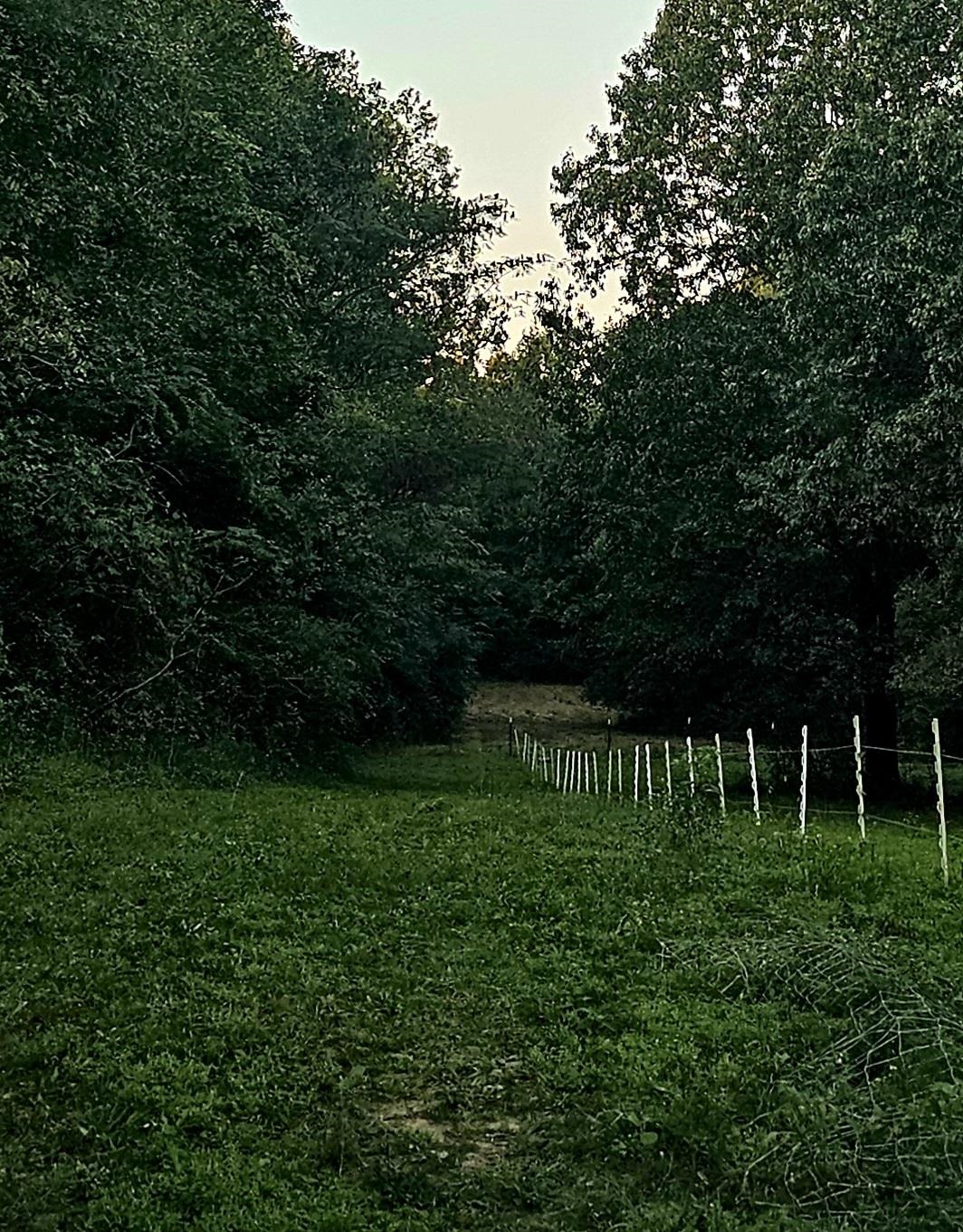 3004 RUSSELL BOND (LAND ONLY) RD